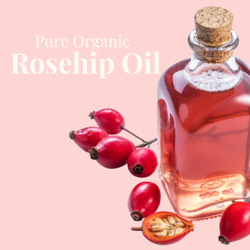 roseship_oil